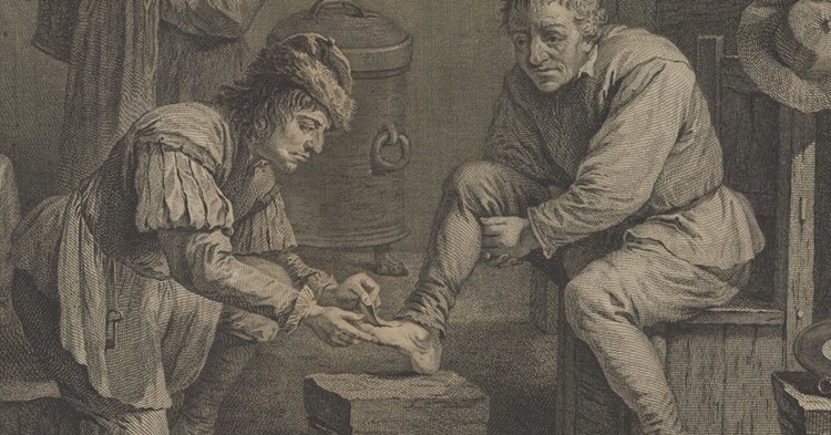 Mecidinal Leeches History