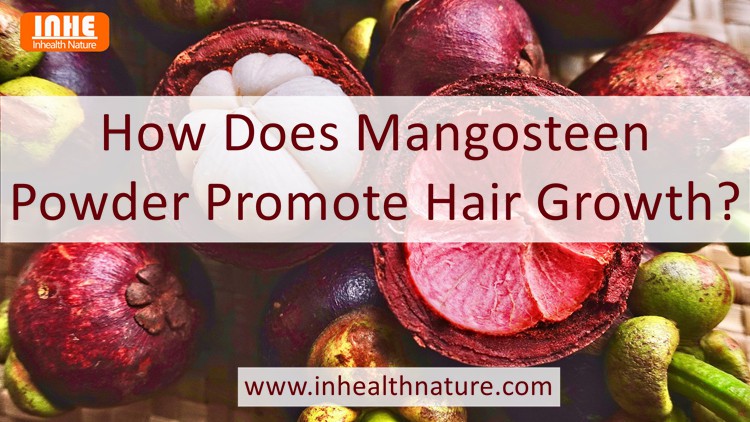 How Does Mangosteen Powder Promote Hair Growth
