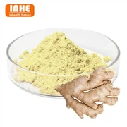 ショウガエキスパウダー 5% ジンゲロール