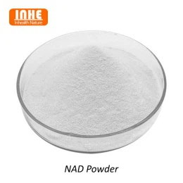 リポソーム技術が NAD パウダーに適しているのはなぜですか?