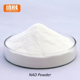 NAD 粉末の品質管理の一般的な試験方法は何ですか?